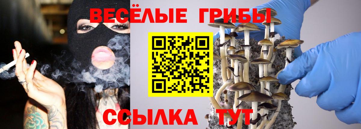 Белореченск  Галлюциногенные грибы прущие грибы  Вход с VPN 